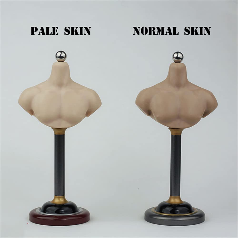 1/6 Scale Figure Body Shape: The Bust Female Phicen/TBLeague ACC067