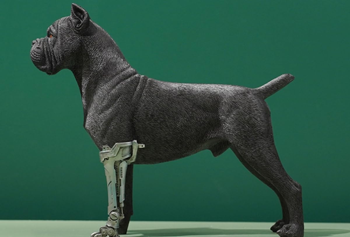 HiPlay JXK Collectible Dog Figure: Cane Corso, Expertly Hand-Painted, Lifelike, Safe Resin, 1:6 Scale Miniature Animal Figurine