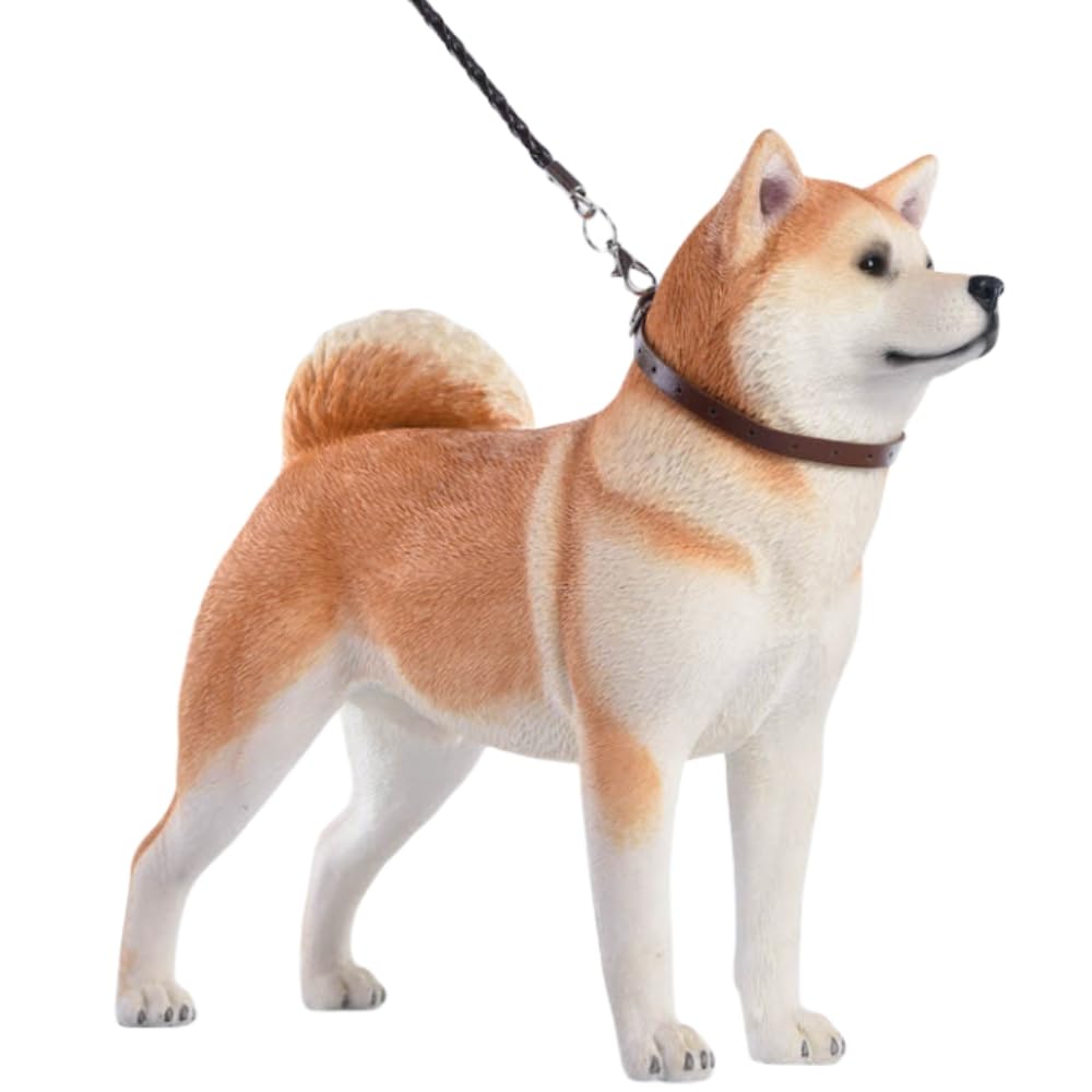 HiPlay JXK Collectible Dog Figure: Japanese Akita, Expertly Hand-Painted, Lifelike, Safe Resin, 1:6 Scale Miniature Animal Figurine