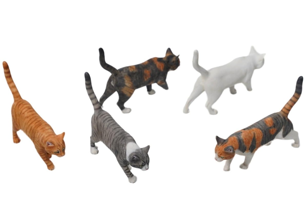 Figura de gato coleccionable JXK: modelo Felis Catus, pintada a mano por expertos, resina realista y segura, miniatura a escala 1:6.