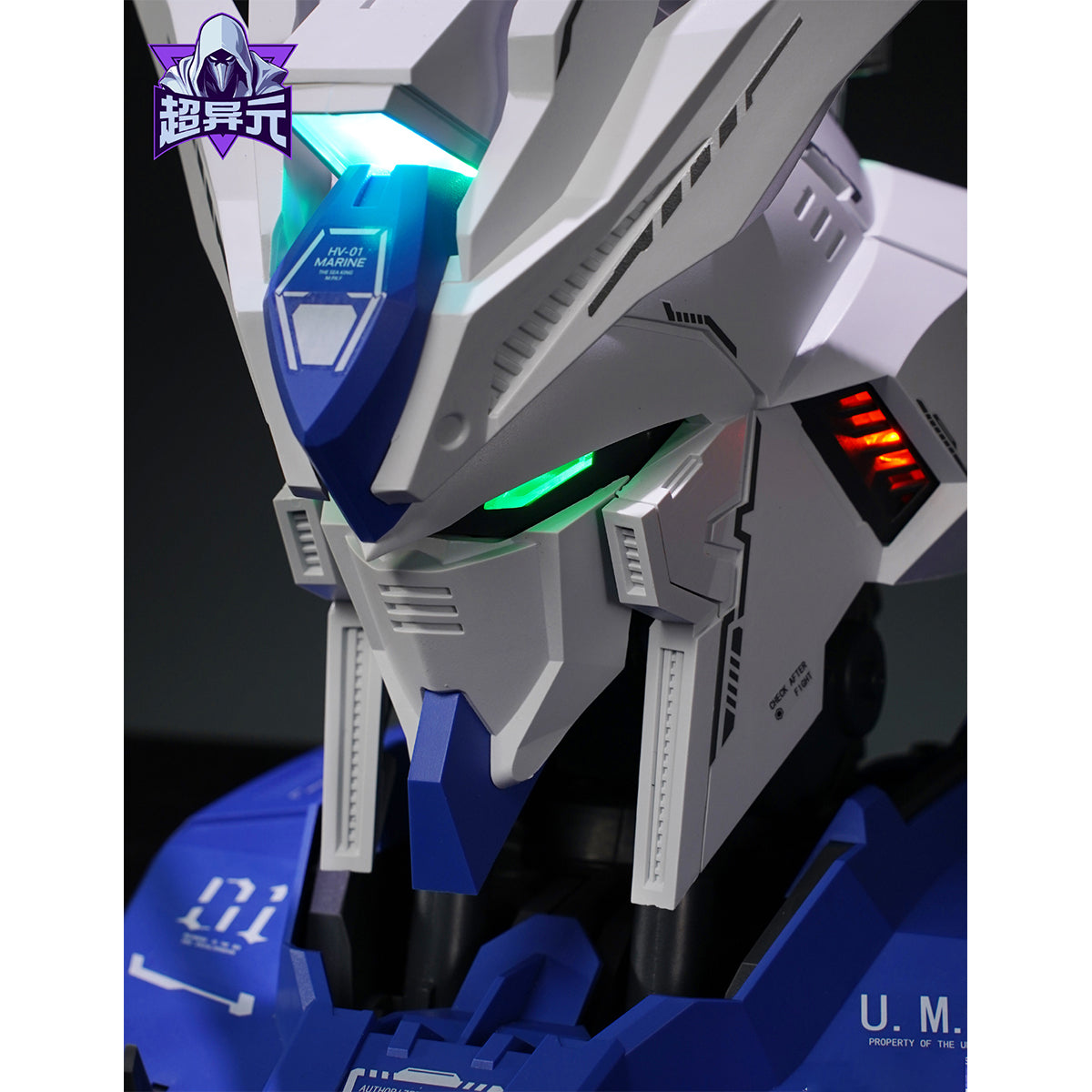 CHAOYIYUAN MODEL King of Sea Buildable Head HW-01 Assembly Model Kits