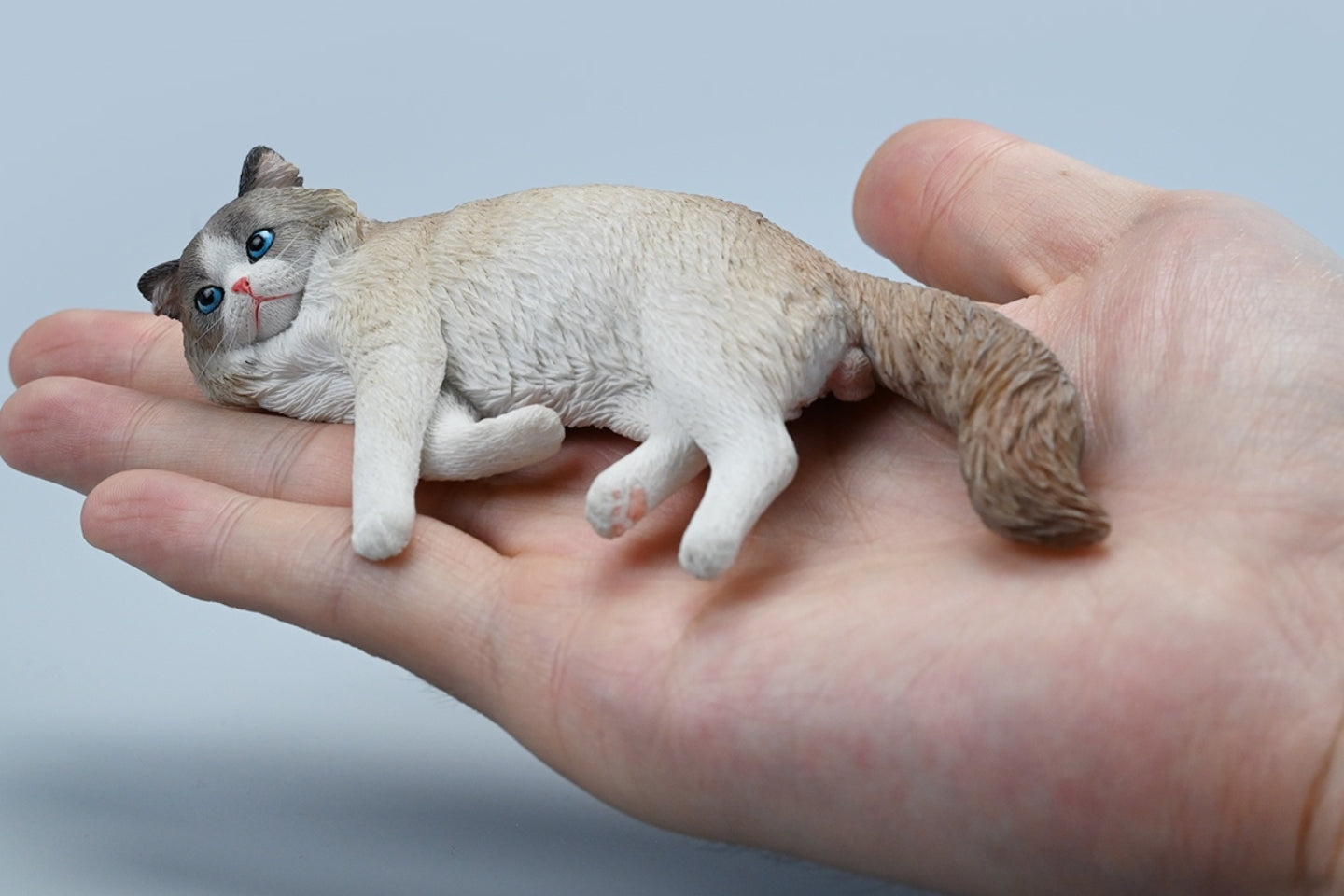 JXK Collectible Cat Figure: Ragdoll 3.0, 1:6 Scale Miniature Animal Fi