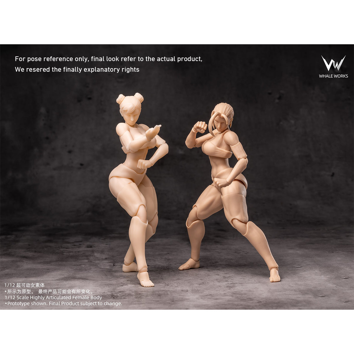 WHALE WORKS Articulated Joints Female WW01-A ARIA Large Bust WW02-A RIN Large Bust 1/12 Scale Action Figure Body