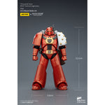 JOYTOY Warhammer 40,000 Thousand Sons & Space Wolves & Sons of Horus & Alpha Legion & Blood Angels & Imperial Fist & Ultramarines MKVI Tactical Legionary 1/18 Scale Action Figure