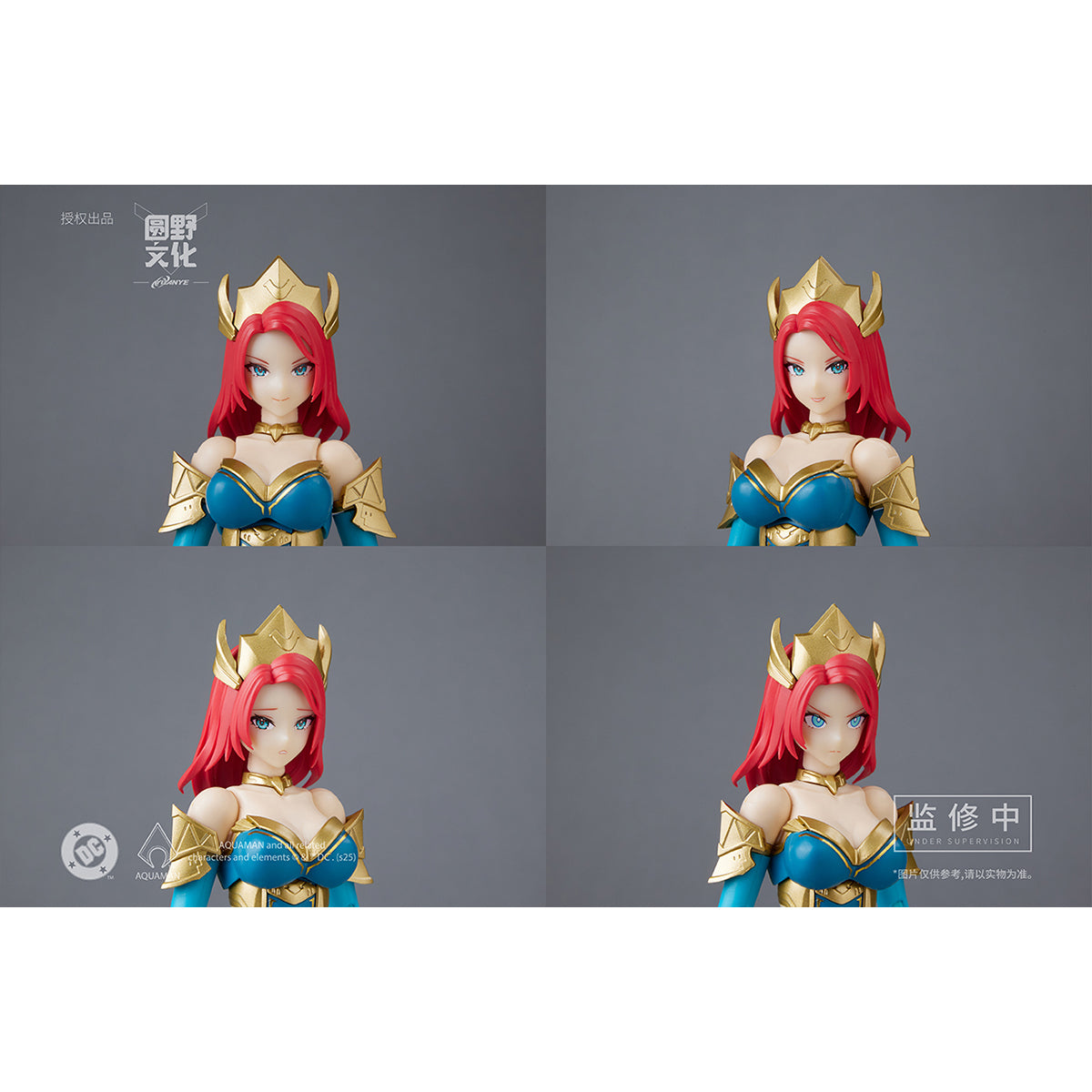 MS GENERAL DC Series DC-04 MERA 1/10 Scale Assembly Model Kits