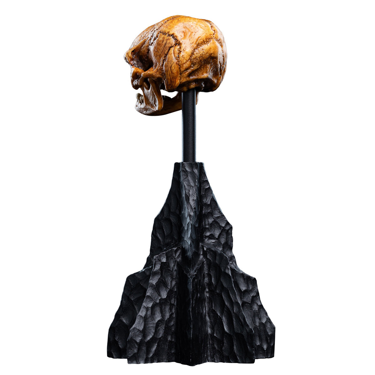 WETA Workshop The Hobbit Trilogy Skull Miniature Skull of a Misty Mountain Goblin Art Figurine