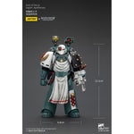 JOYTOY Imperial Fists Legion Apothecary/Sons of Horus Legion Apothecary & Legion Champion & Cataphractii Praetor with Combi-Melta and Power Maul 1/18 Scale Action Figure