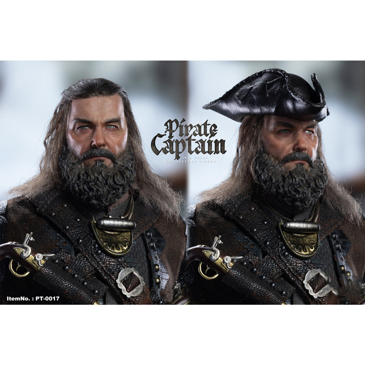 Premier Toys Pirate Captain Action Figures