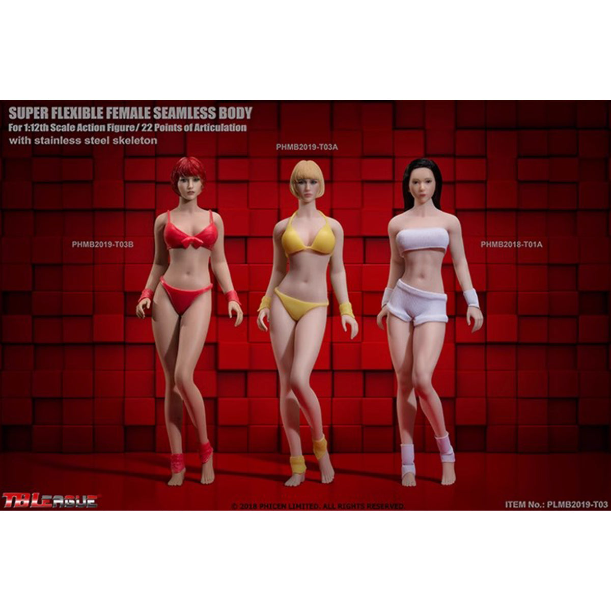 TBLeague, Seamless Steel Skeleton Female Eropean & Proportions/Anime/Asian Body Type with Head Sculpt, Action Figures Body
