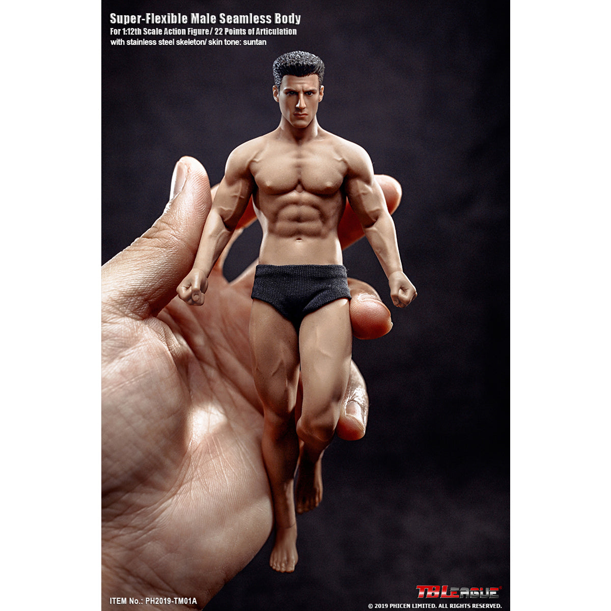 TBLeague, Seamless Muscular Male Body Suntan-Skin with Head Sculpt, Action Figures Body