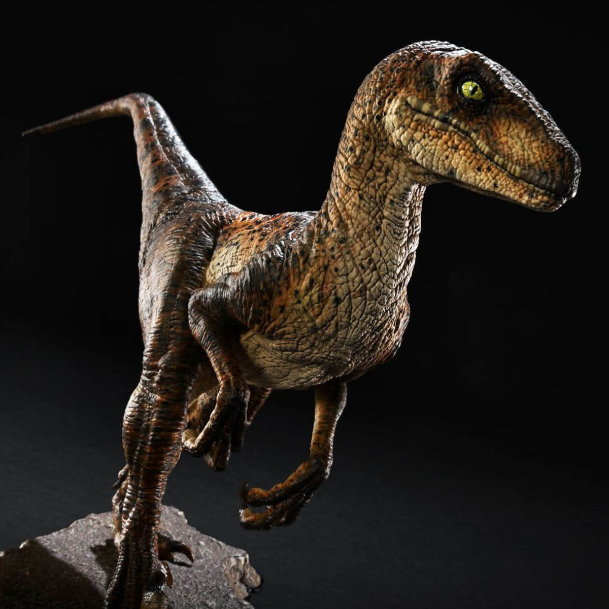 Prime 1 Studio, The Velociraptor, Closed Mouth Version, Statue Figurine