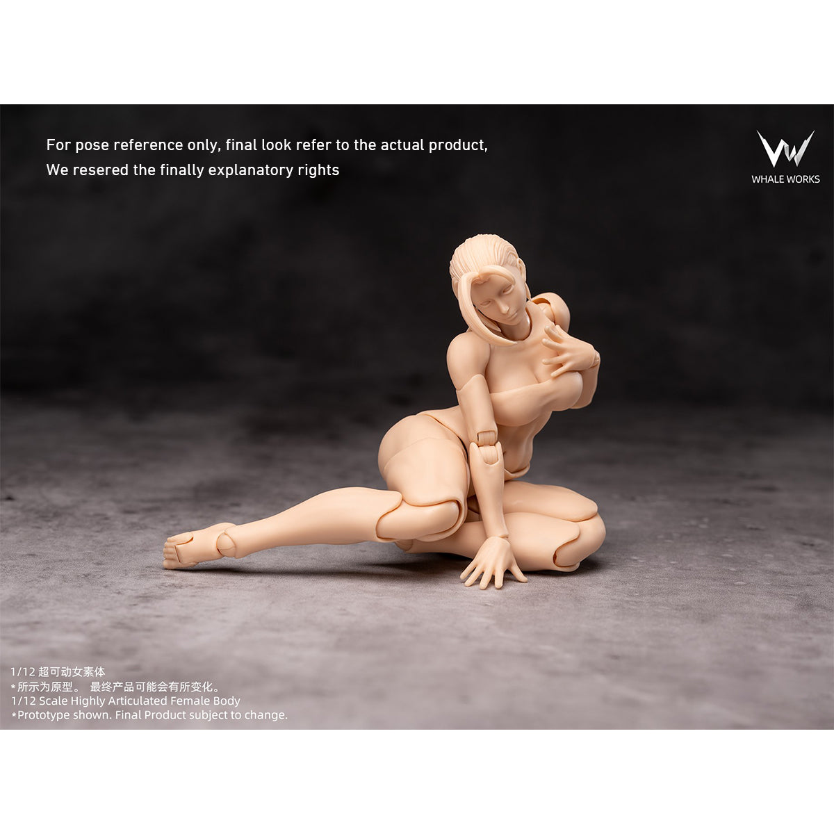 WHALE WORKS Articulated Joints Female WW01-A ARIA Large Bust WW02-A RIN Large Bust 1/12 Scale Action Figure Body