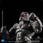 (Only Shipped to the US) HIYA 1/12 Godzila vs. Kong: Kong EBG0062 Exquisite Basic Series Monster Action Figure