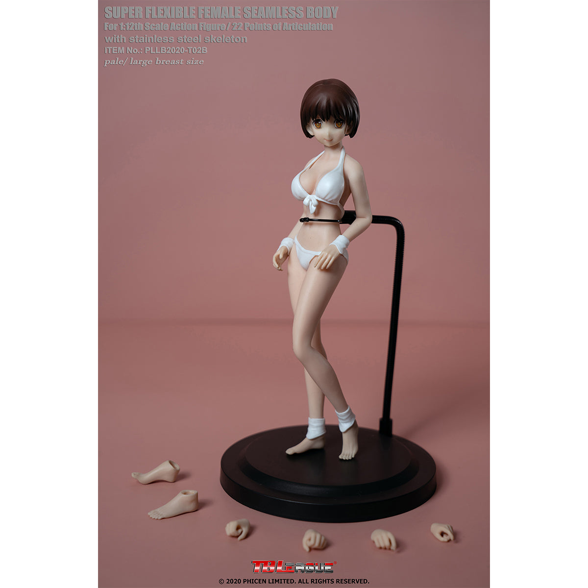 TBLeague, Seamless Steel Skeleton Female Eropean & Proportions/Anime/Asian Body Type with Head Sculpt, Action Figures Body