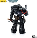 JoyToy 40K Officially Licensed 1/18 Scale Action Figures Full Set Series Colvane, Raven Guard