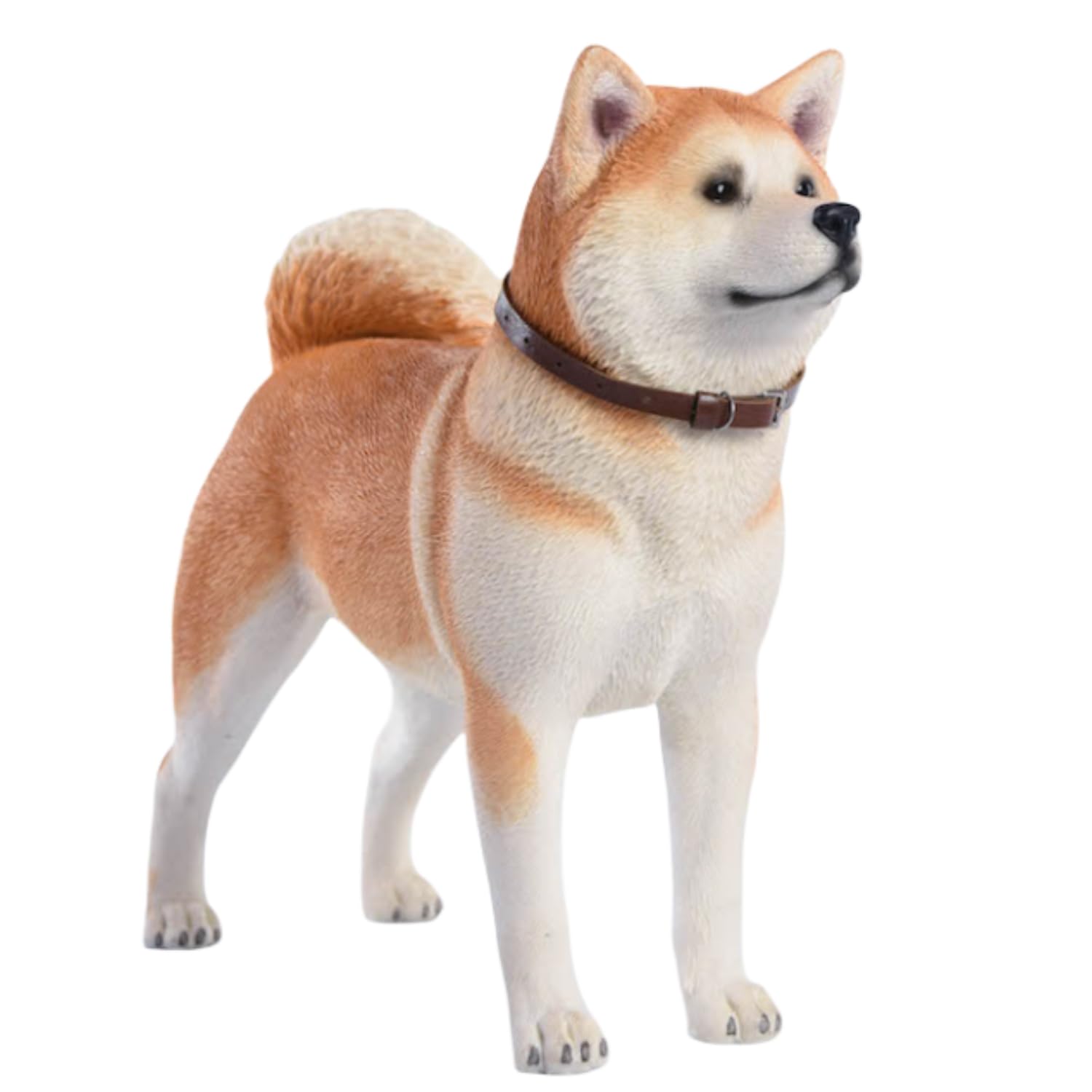 HiPlay JXK Collectible Dog Figure: Japanese Akita, Expertly Hand-Painted, Lifelike, Safe Resin, 1:6 Scale Miniature Animal Figurine