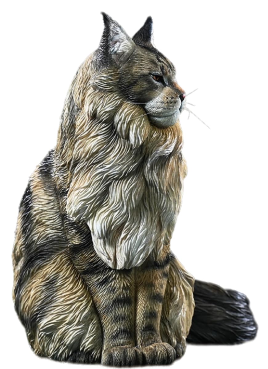 HiPlay JXK Collectible Cat Figure: Maine Coon, Expertly Hand-Painted, Lifelike, Safe Resin, 1:6 Scale Miniature Animal Figurine JXK193A