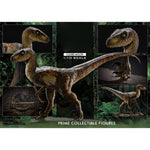 Prime 1 Studio, The Velociraptor, Closed Mouth Version, Statue Figurine