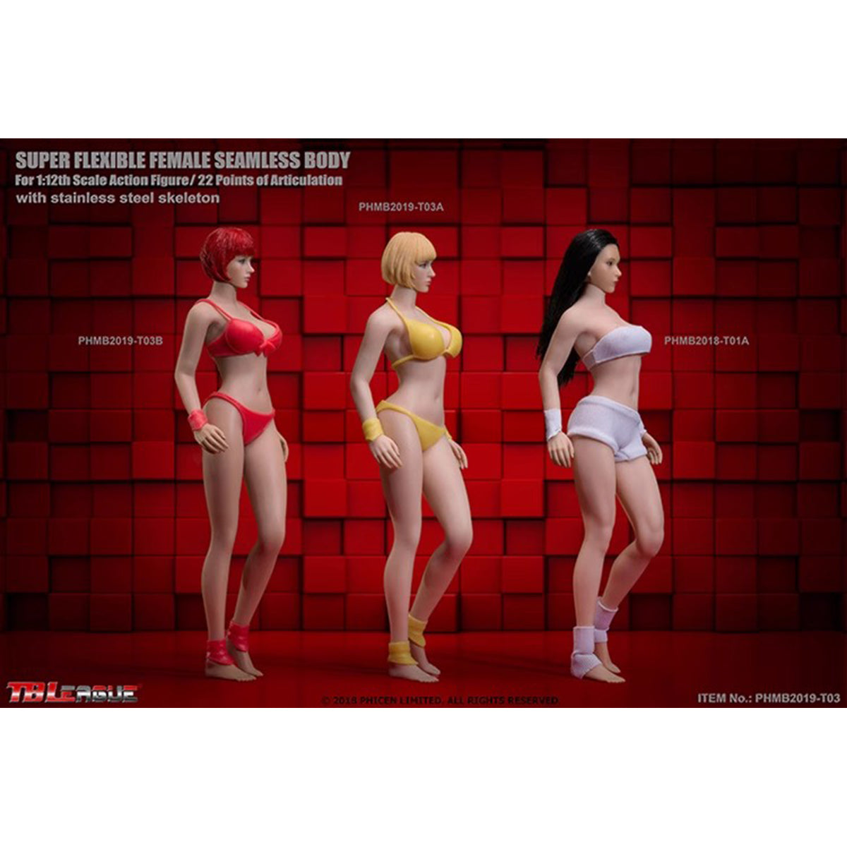TBLeague, Seamless Steel Skeleton Female Eropean & Proportions/Anime/Asian Body Type with Head Sculpt, Action Figures Body