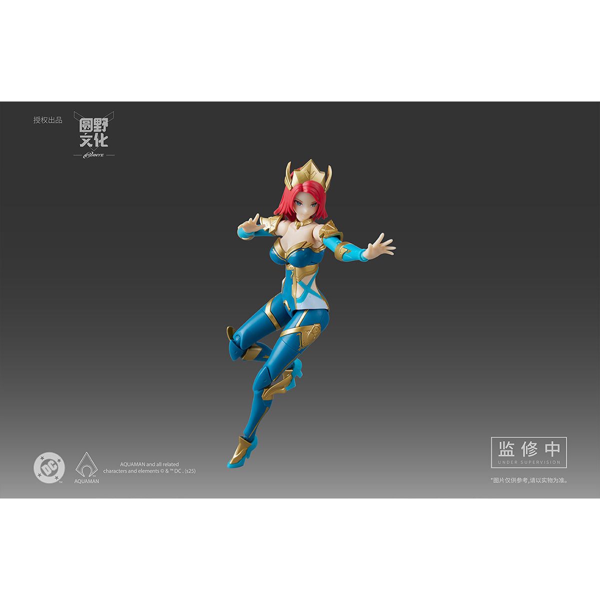 MS GENERAL DC Series DC-04 MERA 1/10 Scale Assembly Model Kits