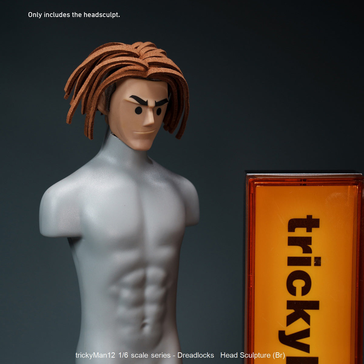 TrickyMan12 Dreadlocks Male Head Sculpt Black Hair FB-10083-1 Brown Ha