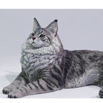 LIEJI, Silver Tiger Maine Coon, Static Expertly Hand-Painted Lifelike, 1/6 Scale Animal Figurine