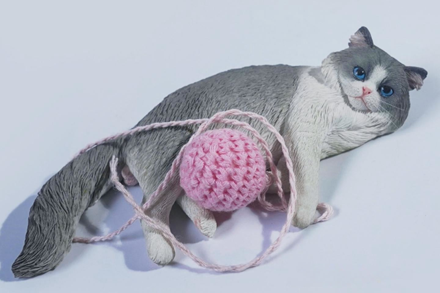 JXK Collectible Cat Figure: Ragdoll 3.0, 1:6 Scale Miniature Animal Fi
