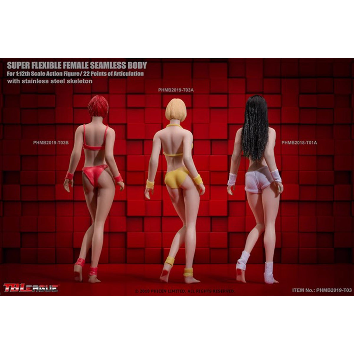 TBLeague, Seamless Steel Skeleton Female Eropean & Proportions/Anime/Asian Body Type with Head Sculpt, Action Figures Body
