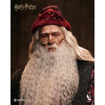 INART Harry Potter and the Chamber of Secrets InArt Albus Dumbledore 1/6 Scale Action Figure Set