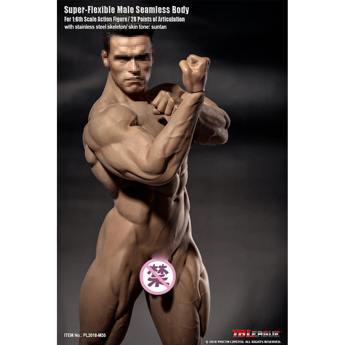 TBLeague, Seamless Male Muscular Body Suntan-Skin, Action Figures Body