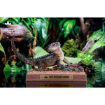 JXK Tribolonotus Gracilis Static Expertly Hand-Painted Lifelike Animal Figurine