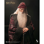 INART Harry Potter and the Chamber of Secrets InArt Albus Dumbledore 1/6 Scale Action Figure Set