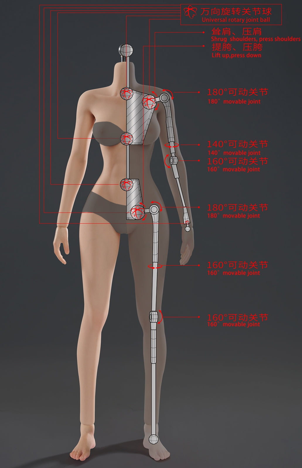 VERYCOOL Female Seamless Articulated Silicone Medium-Bust 1/6 Scale Ac