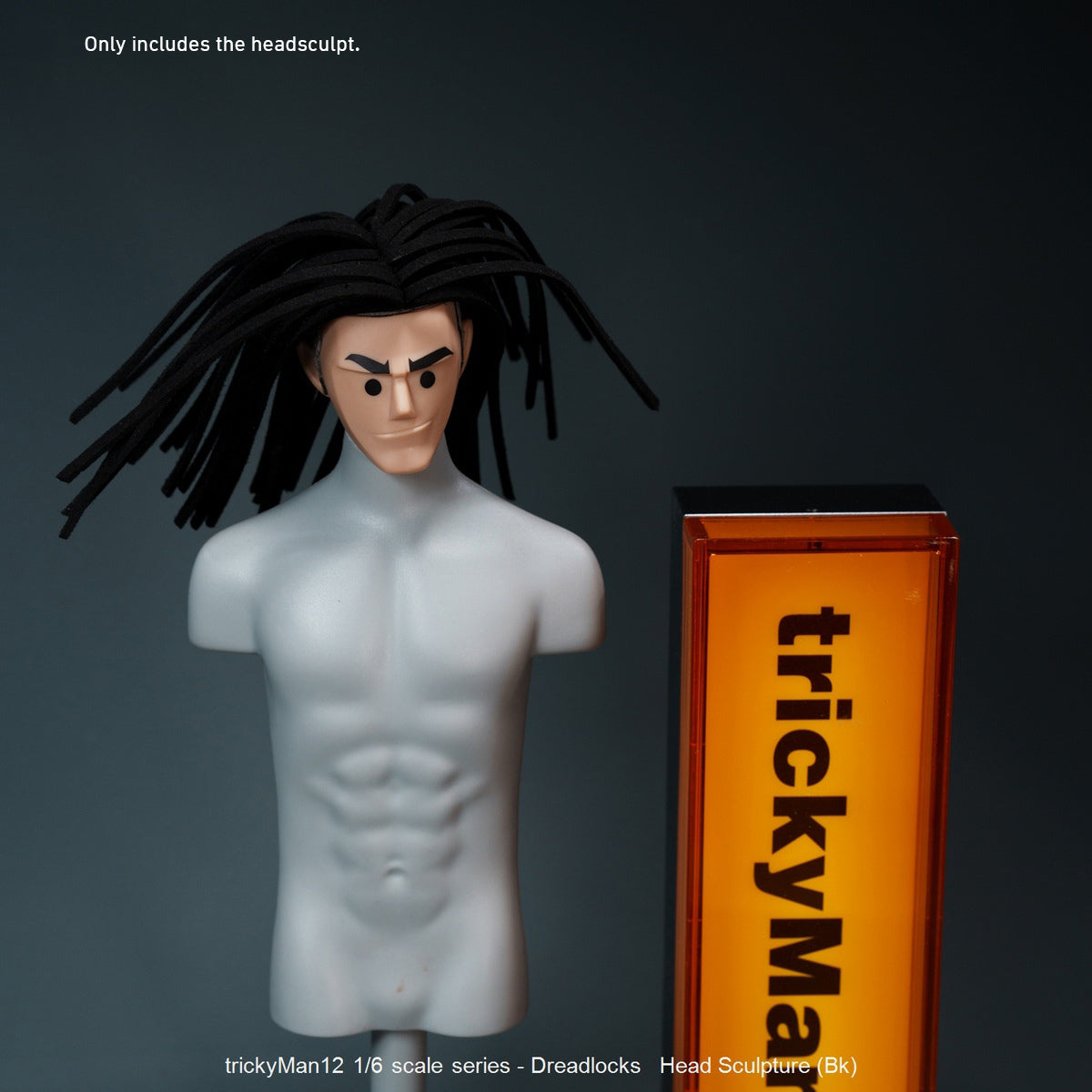 TrickyMan12 Dreadlocks Male Head Sculpt Black Hair FB-10083-1 Brown Ha