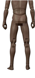 (Only Shipped to the DE) Worldbox Super Durable Narrow Shoulder Male Body Figure No Head AT011
