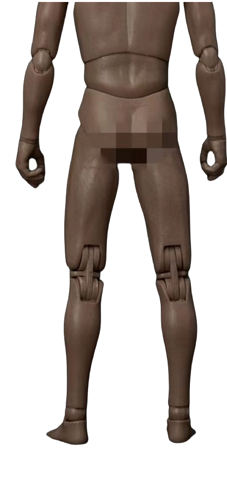 (Only Shipped to the DE) Worldbox Super Durable Narrow Shoulder Male Body Figure No Head AT011