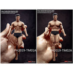 TBLeague, Seamless Muscular Male Body Suntan-Skin with Head Sculpt, Action Figures Body