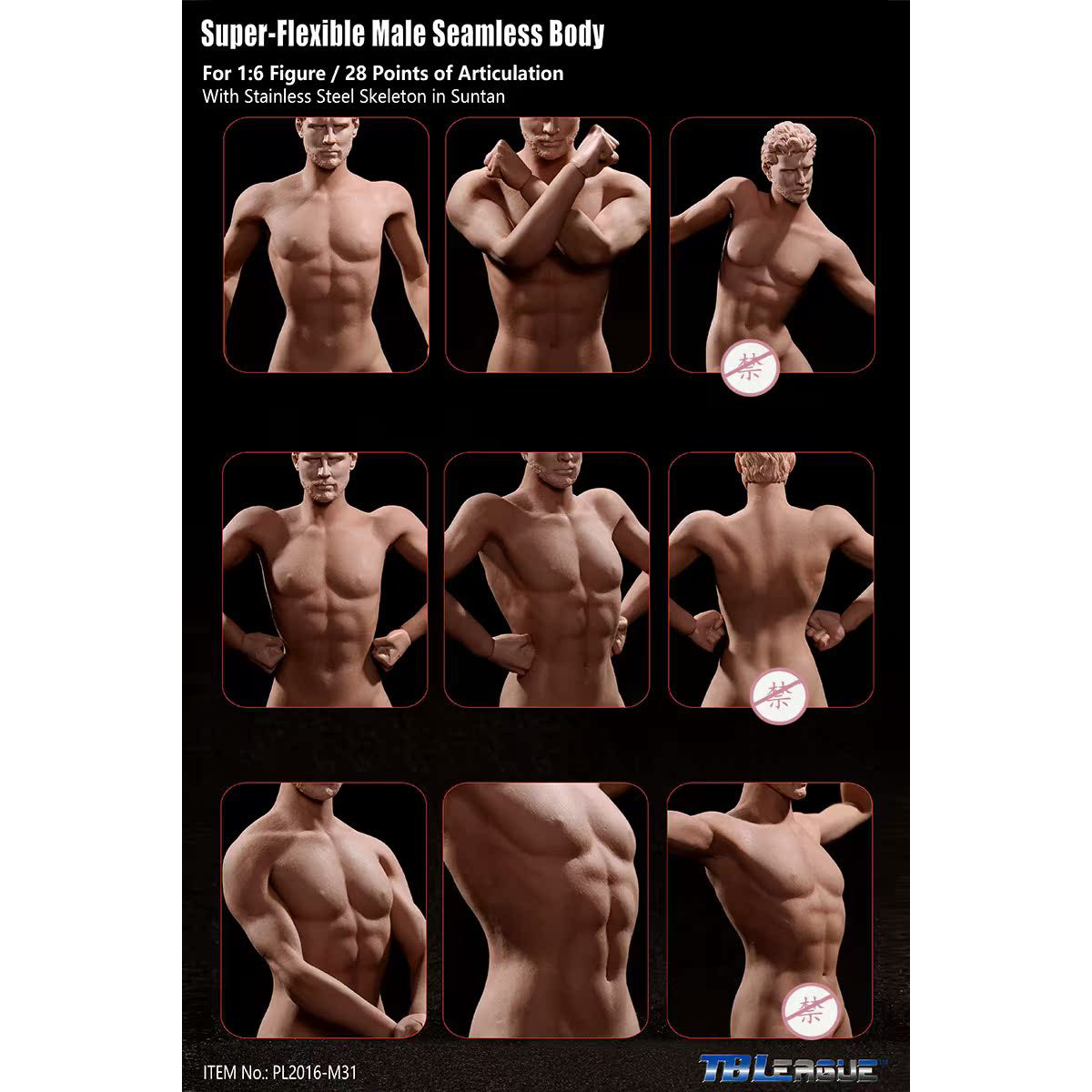 TBLeague, Seamless Male Muscular Body Suntan-Skin, Action Figures Body