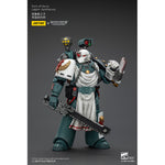 JOYTOY Imperial Fists Legion Apothecary/Sons of Horus Legion Apothecary & Legion Champion & Cataphractii Praetor with Combi-Melta and Power Maul 1/18 Scale Action Figure