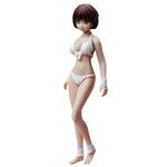 TBLeague, Seamless Steel Skeleton Female Eropean & Proportions/Anime/Asian Body Type with Head Sculpt, Action Figures Body