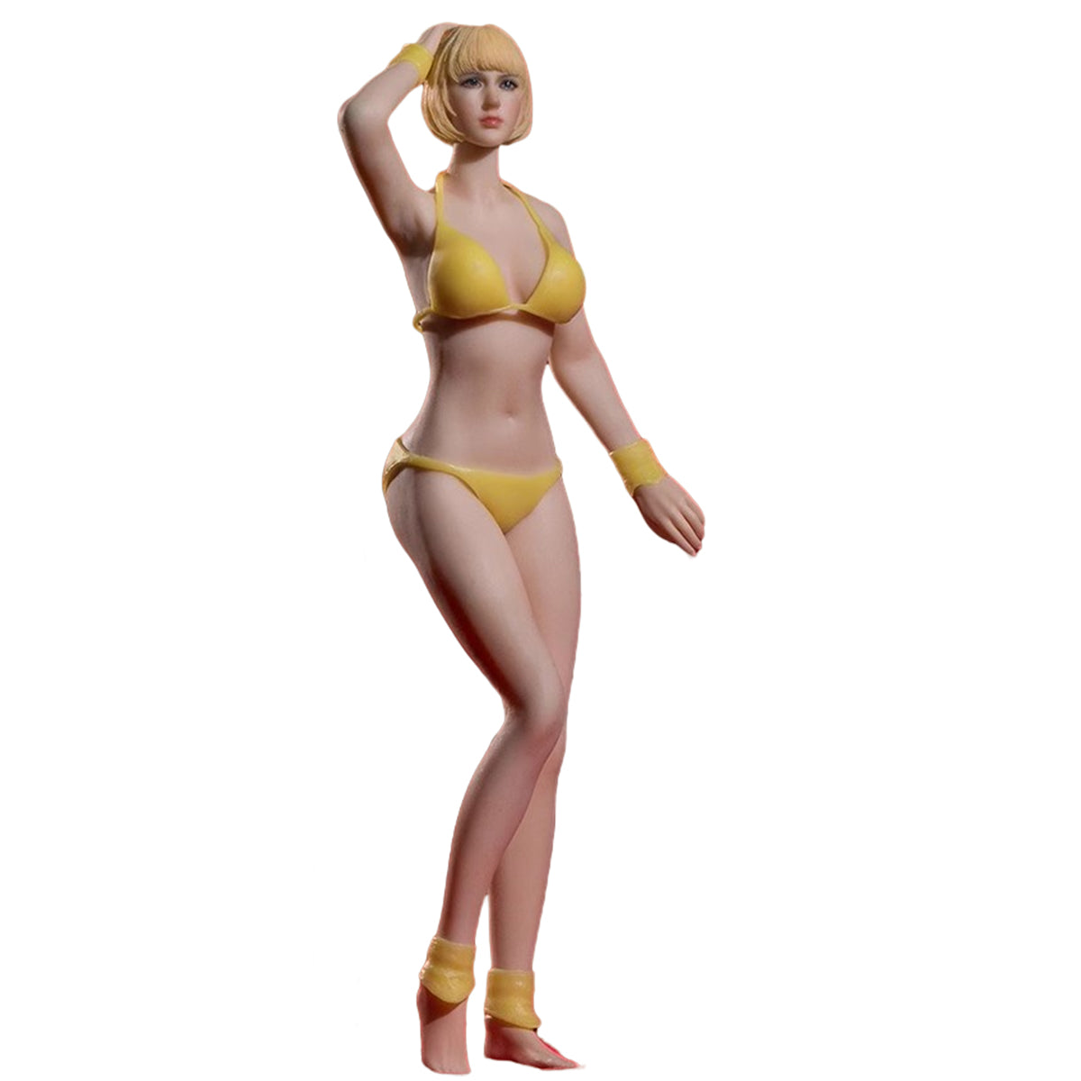 TBLeague, Seamless Steel Skeleton Female Eropean & Proportions/Anime/Asian Body Type with Head Sculpt, Action Figures Body