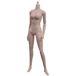 ZYTOYS 1/6 Half-Seamless Slim Long-legged Female Body Action Figures Body