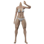 True1Toys Articulated Joints Female Muscular Legs Version EC3029 Medium Bust EC3030 Large Bust 1/6 Scale Action Figure Body