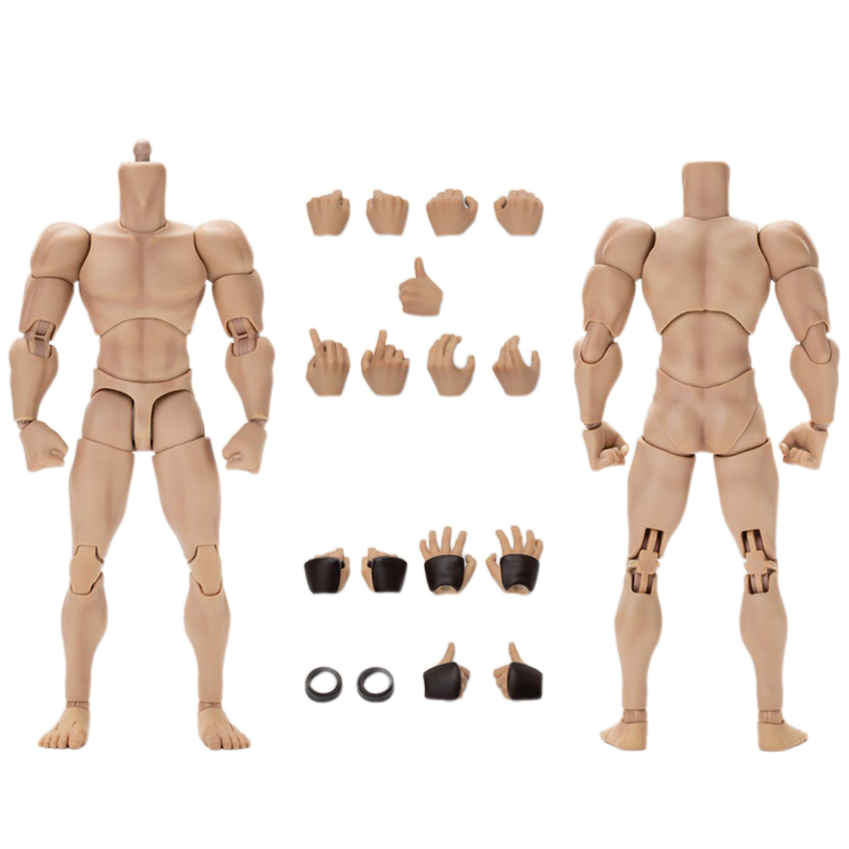 Figura de acción articulada de Tunshi Studio, modelo masculino articulado estilo B de brazos fuertes.