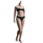 TBLeague Seamless Female Small Bust Proportional Body S46 S47 Detachable Feet and Headless 1/6 Scale Action Figure Body