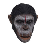 MIT TOYS, Caesar Head Sculpture, Figure Head Sculpt