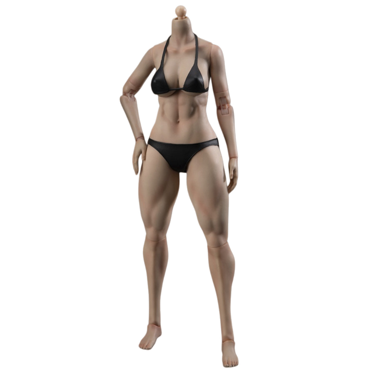 True1Toys Articulated Joints Female Muscular Legs Version EC3029 Medium Bust EC3030 Large Bust 1/6 Scale Action Figure Body