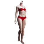 TBLeague Seamless Female Small Bust Proportional Body S46 S47 Detachable Feet and Headless 1/6 Scale Action Figure Body