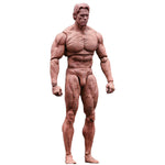 Model Hall 7-Inches Devil Muscle Man Articulated joints Action Figure Body