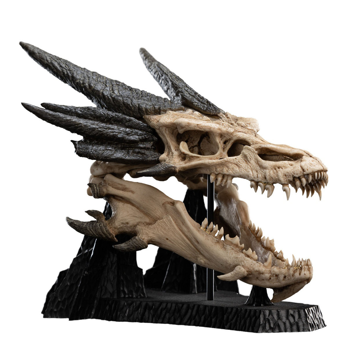 WETA Workshop The Hobbit Trilogy Skull Miniature Skull of Smaug Art Figurine